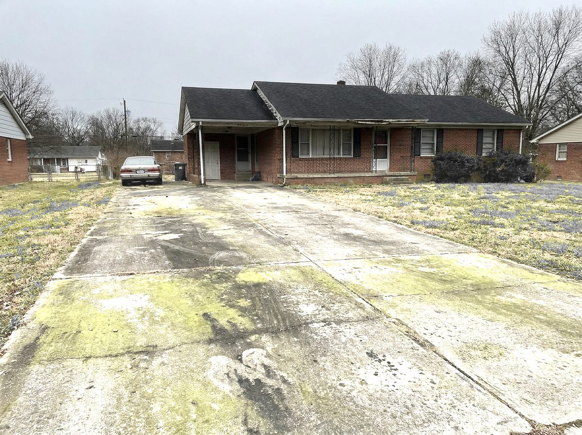Driveway after pressure washing — clean concrete
